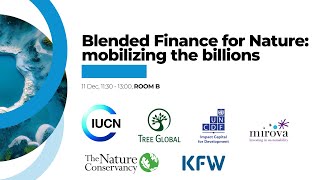 Blended Finance for Nature mobilizing the billions  Building Bridges 2024  Room B  Dec 11 [upl. by Annauqahs]