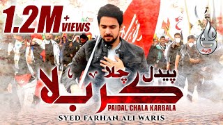 Farhan Ali Waris  Paidal Chala Karbala  2014 [upl. by Ynetruoc]