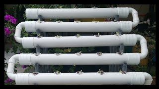 Hydroponics Farming How to Build amp Design Hydroponic system At Home 2021 [upl. by Vernon]