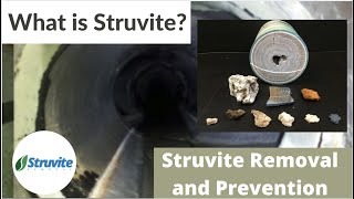 What is Struvite Struvite Removal and Prevention [upl. by Ardnac]