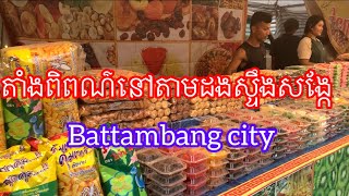 តាំងពិពណ៌នៅតាមដងស្ទឹងសង្កែ Battambang City [upl. by Moffitt818]