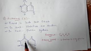 N2 bases  NITROGENOUS BASES  PURINS AND PYRIMINDINS   BIOTECHNOLOGY  BY PHANINDRA GUPTHA [upl. by Uah]