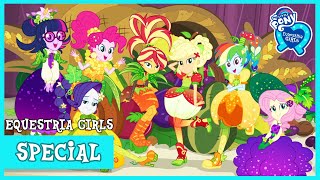 MLP Equestria Girls  Holidays Unwrapped HD [upl. by Stanley478]