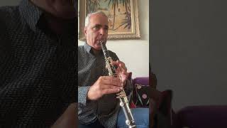 Ornament 3 of Petrnella Clarinet B♭ Selmer lygeros music interpretation clarinet learn [upl. by Girish]