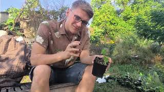 Pflanzen Unboxing 01 I Meine Traumpflanzen ziehen in meinen Garten [upl. by Annal815]