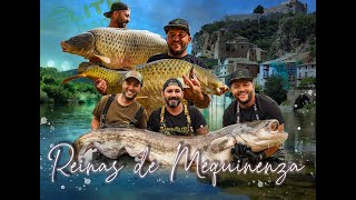 CARPFISHING REINAS DE MEQUINENZA [upl. by Niatsirk667]