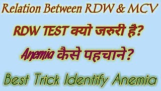 Relation between RDW and MCV  RDW blood test MCV blood test [upl. by Mobley233]