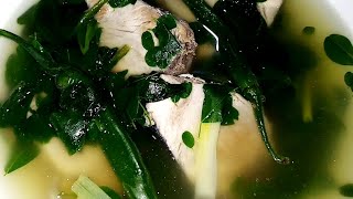 Sinabawang Yellowfin Tuna Simple Recipe but Delicious fish Soup tinolang isda [upl. by Lezlie]