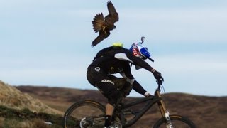 Gee Atherton gets hunted by a Peregrine Falcon [upl. by Qahsi]