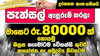 පැන්සල් ඇසුරුම් කරලා මාසෙට රු90000 ක් හොයමු  Swayan rekiya at home 2024  Swayan rekiya sinhala [upl. by Odlavu]