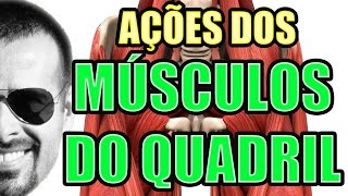 Vídeo Aula 116  Anatomia Humana  Sistema Muscular Ações dos Músculos do Quadril [upl. by Adnert922]