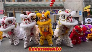 Leung’s White Crane Lion Dance Performance at San Francisco Chinatown Mid Autumn Festival 2024 [upl. by Socha]