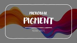 MICROBIAL PIGMENT pigment part 1 [upl. by Cocke61]