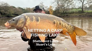 Netting a carp fishing lake Stuart’s Lake  Shatterford Lakes [upl. by Ezirtaeb]