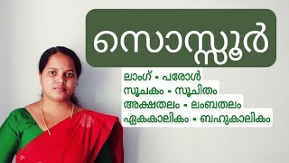 സൊസ്സൂർ l Ferdinand de saussure I ചിഹ്നവിജ്ഞാനീയം I semiology I ശ്രുതി കെ [upl. by Yahsram]