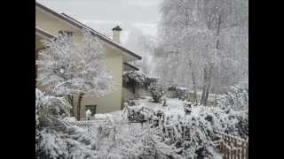 CADE LA NEVE S Adamo [upl. by Jerz113]