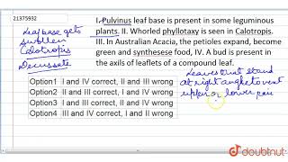 I Pulvinus leaf base is present in some leguminous plants II Whorled phyllotaxy is [upl. by Hayott325]