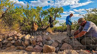 Greening the Desert Step by Step Backed by Volunteers [upl. by Nolek]