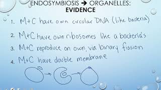 Protist Evolution  Classification Protists 23 [upl. by Bonaparte]