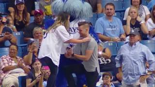 Surprise Proposal at a Tampa Bay Rays Game [upl. by Vacla135]