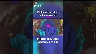 Prokaryotes cell vs eukaryotes cell biologyclass12 biology animation [upl. by Meurer]