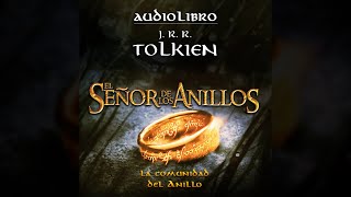 La Comunidad del Anillo  Libro II  Cap 3  El Anillo va hacia el sur [upl. by Enilarac592]