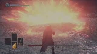 Comment battre l ame des cendres Dark souls 3 [upl. by Meli]