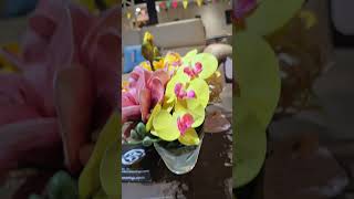 Pollination Artifical Flowers At Best Price  Buy Quialty Products [upl. by Joed553]