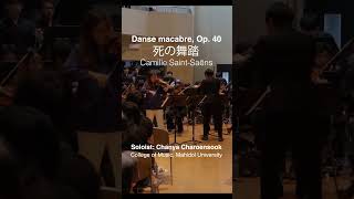 Danse macabre Op 40  Camille SaintSaëns [upl. by Gnolb]