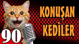 Konuşan Kediler 90 En Komik Kedi Videoları PATİ TV [upl. by Allyson20]