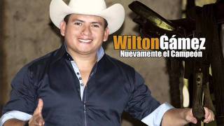 WILTON GAMEZ NUEVAMENTE EL CAMPEON [upl. by Anaujal798]