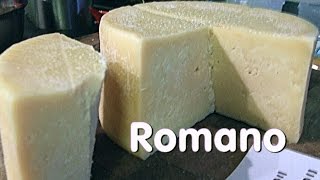 Making Vaccino Romano Cheese [upl. by Lyrradal]