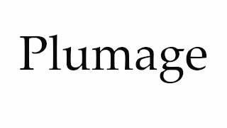 How to Pronounce Plumage [upl. by Evers]