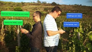 Furmint Adventures  Episode 11 Gizella Cellar [upl. by Nesto]