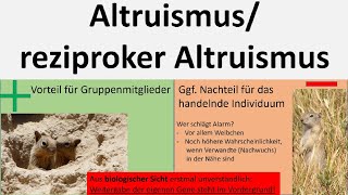 Altruismus altruistisches Verhalten reziproker Altruismus Biologie Oberstufe [upl. by Paugh]