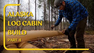 Rustic Alaska Log Cabin Build Off Grid in the Woods ASMR [upl. by Eleets]