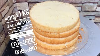 എല്ലാ കേക്കിനും പറ്റുന്ന വാനില സ്പഞ്ച് കേക്ക് vanillaspongecake vanillacake [upl. by Sybil531]