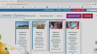 Caridades Católicas ofrece el programa de servicios de estabilidad de vivienda [upl. by Aninaj]