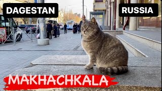 RUSSIA TODAY  Makhachkala Dagestan  December 2023 [upl. by Nodnab179]