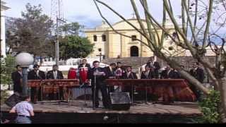 Marimba Maderas Chapinas  Concierto Color y Folklore Guatemalteco Vol 1 [upl. by Quill957]