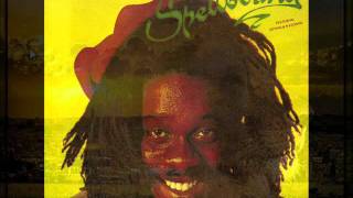 dennis brown stop the fussing and fighting [upl. by Yllek]