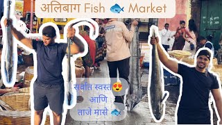 अलिबाग मधील सर्वात मोठा फिश मार्केट ।Alibaug fish market 🐟😍। NGVlogs । Alibaug । [upl. by Oramlub]