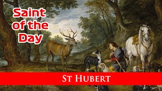 St Hubert  Saint of the Day with Fr Lindsay  29 November 2024 [upl. by Stig]