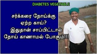 சர்க்கரை நோய் உள்ளவர்கள் இந்த காயை சாப்பிடவும் [upl. by Floss]