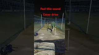 Cover drive cricket shortsfeed viralvideo shorts ipl trending [upl. by Ahsenrad]