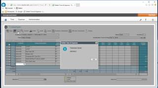 Deltek Time Training Video [upl. by Engapmahc344]