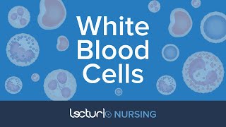 White Blood Cells The 5 WBC Types Reference Ranges amp Functions  Pathophysiology  NCLEX Prep [upl. by Trbor490]