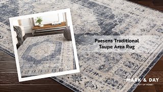 Paesens Traditional Taupe Area Rug [upl. by Akinirt]