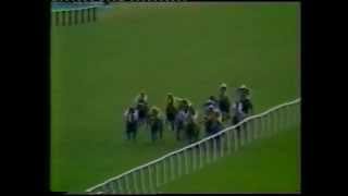 1982 Dubai Champion Stakes [upl. by Norita]