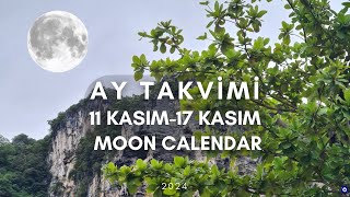 AY TAKVİMİNE GÖRE EKİM DİKİM BAHÇE İŞLERİ 11 KASIM17 KASIM 2024 MOON CALENDAR [upl. by Ron]